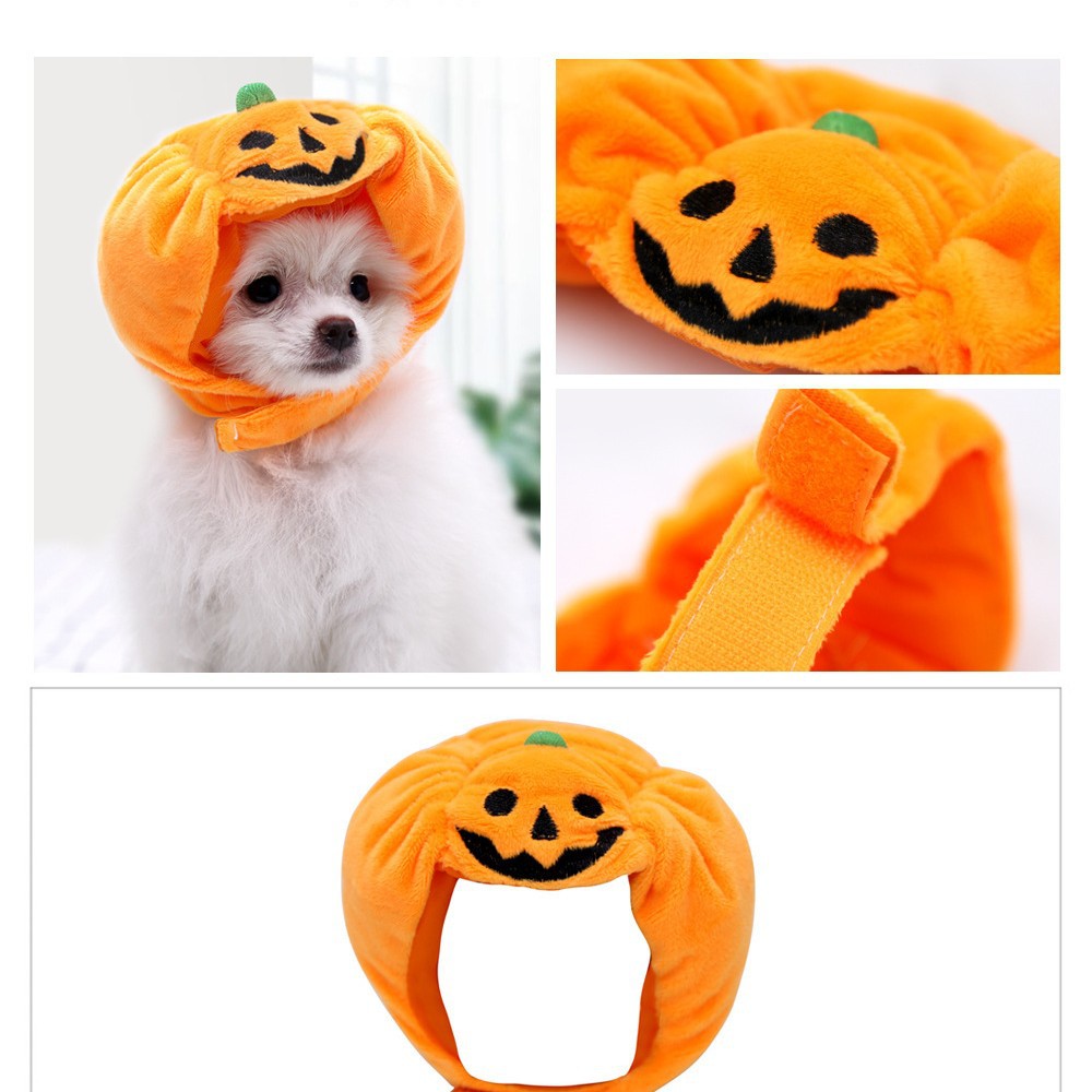 Pet Pumpkin Hat Halloween Costume