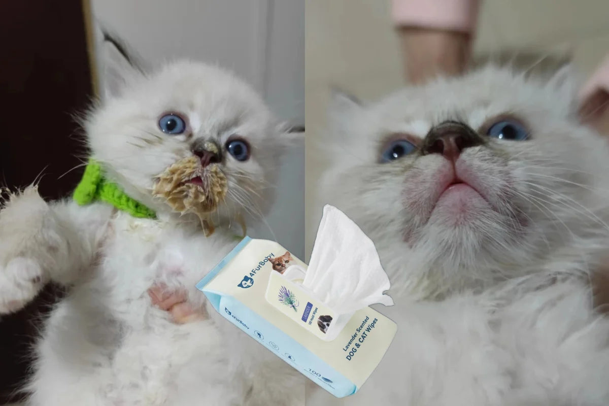 Plant-Based Dog & Cat Grooming Wipes – Gentle & Compostable Pet Wipes