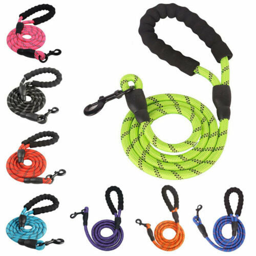 Collection of colorful dog leashes on a white background