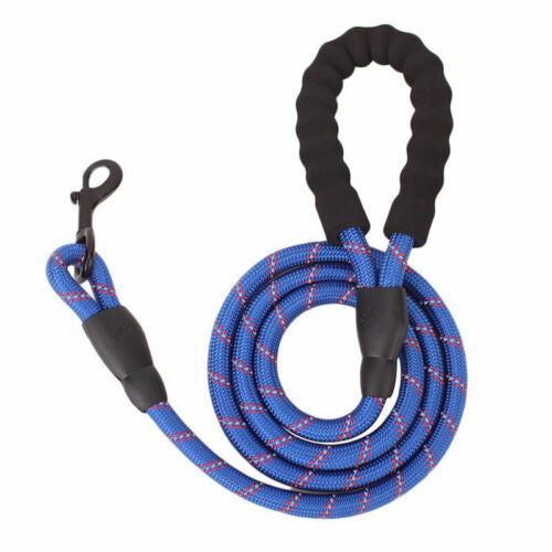 Blue dog leash with black handles on a white background