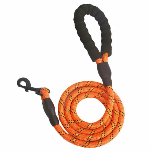 Orange dog leash with black handles on a white background