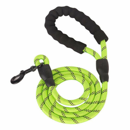 Green dog leash with black handles on a white background