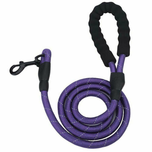 Purple dog leash with black handles on a white background