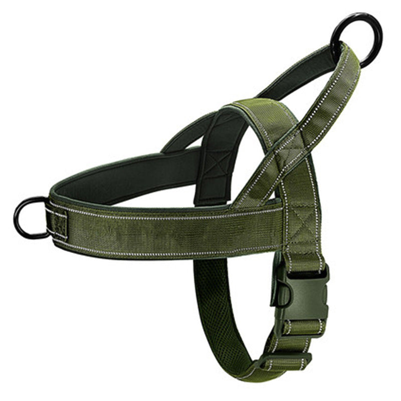 Green dog harness on a white background