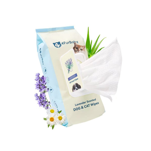 A package of AFurBaby lavender-scented dog and cat wipes, shown with a white wipe pulled out from the bag and decorative flowers, green leaves, and a cat printed on the packaging against a white background.