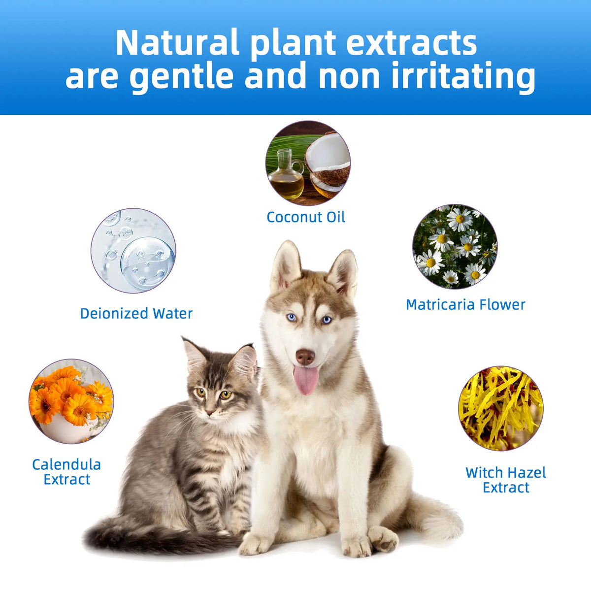 Gentle & Odor-Free Ear Wash for Happy Dogs & Cats