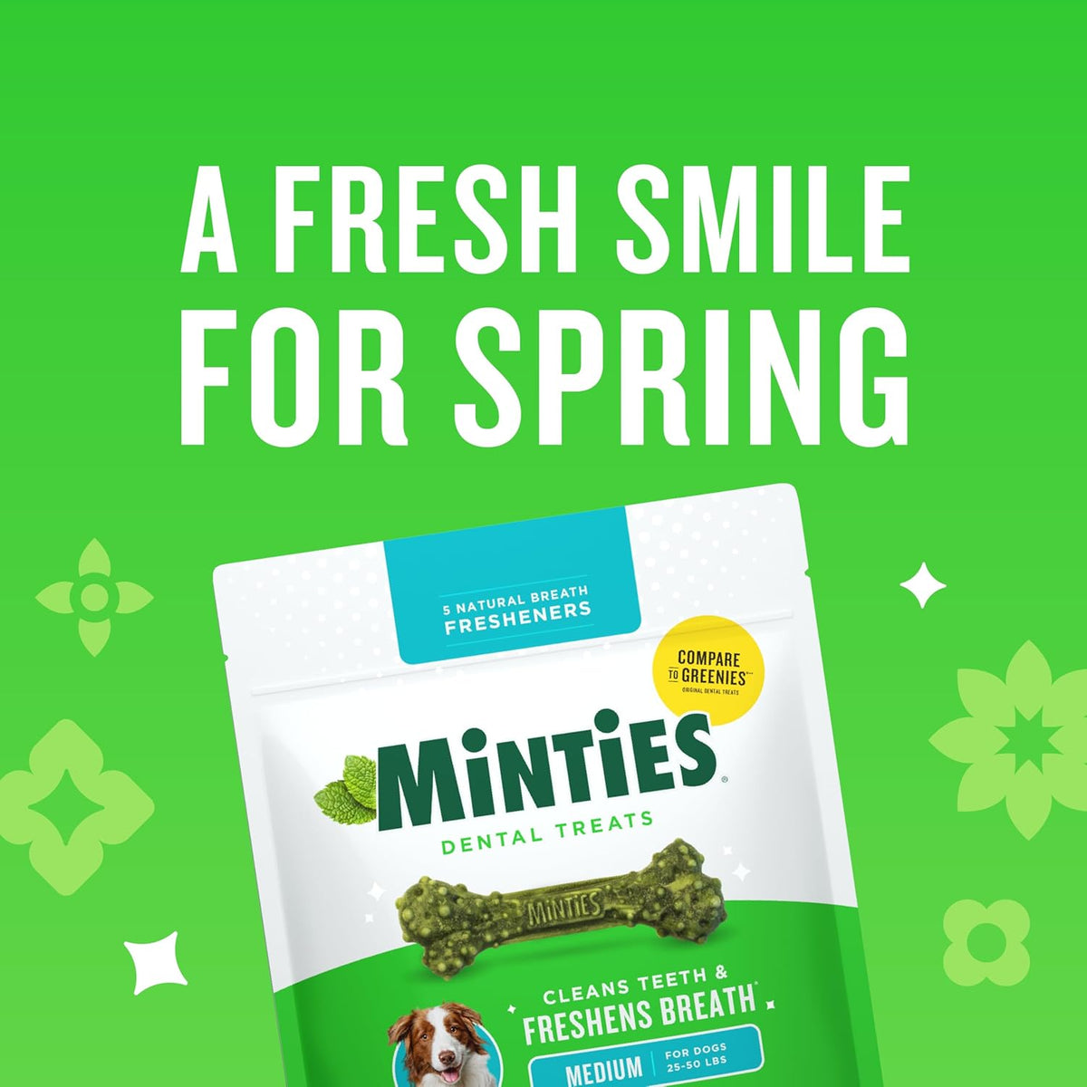 Delicious Mint Dental Chews for Large Dogs - 20 Count for Fresh Breath and Healthy Teeth