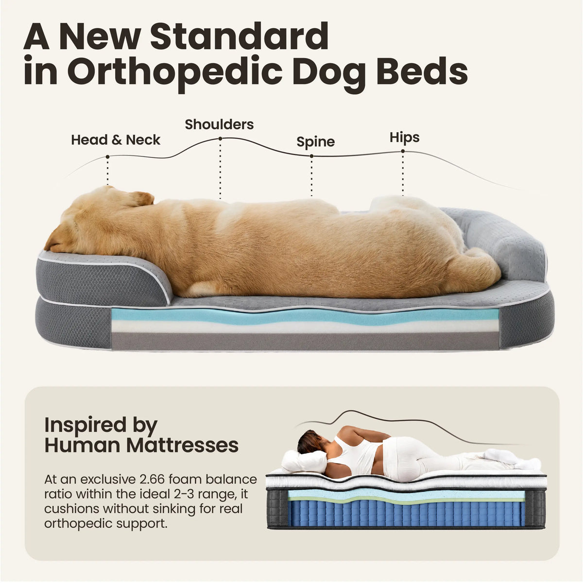 【Vet‑Recommended】Lesure Realortho｜Orthopedic Dog Bed for Large & Senior Dogs, 3-Layer Support Joint Protection Premium Memory Foam Orthopedic Bed for Senior Joint Support with Waterproof Washable Cover, Comfort Dog Couch Sofa for Deep Sleep
