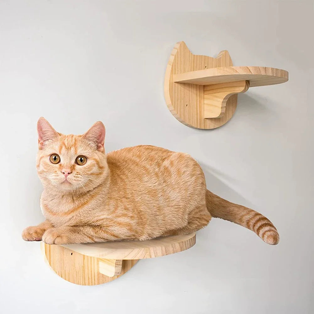 Elevate Your Cat's Playtime with Our Stylish Wall Climbing Shelf: A Multi-Functional Ladder, Scratching Post, and Cozy Bed!