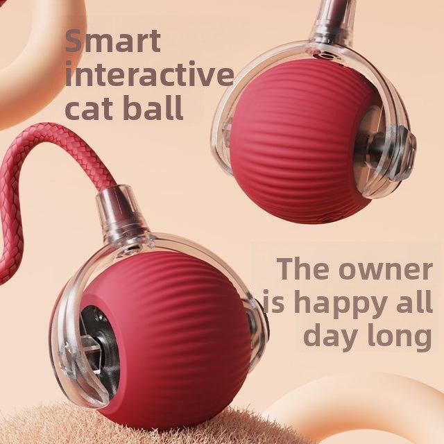Interactive Motion Ball for Dogs & Cats