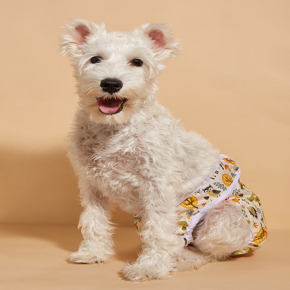 Printed Protective Pants for Female Dogs