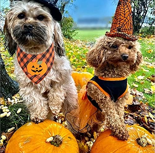 Two dogs in Halloween costumes standing on pumpkins with a scenic background.