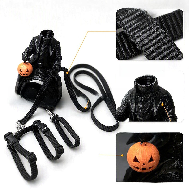 Headless Horseman cat costume