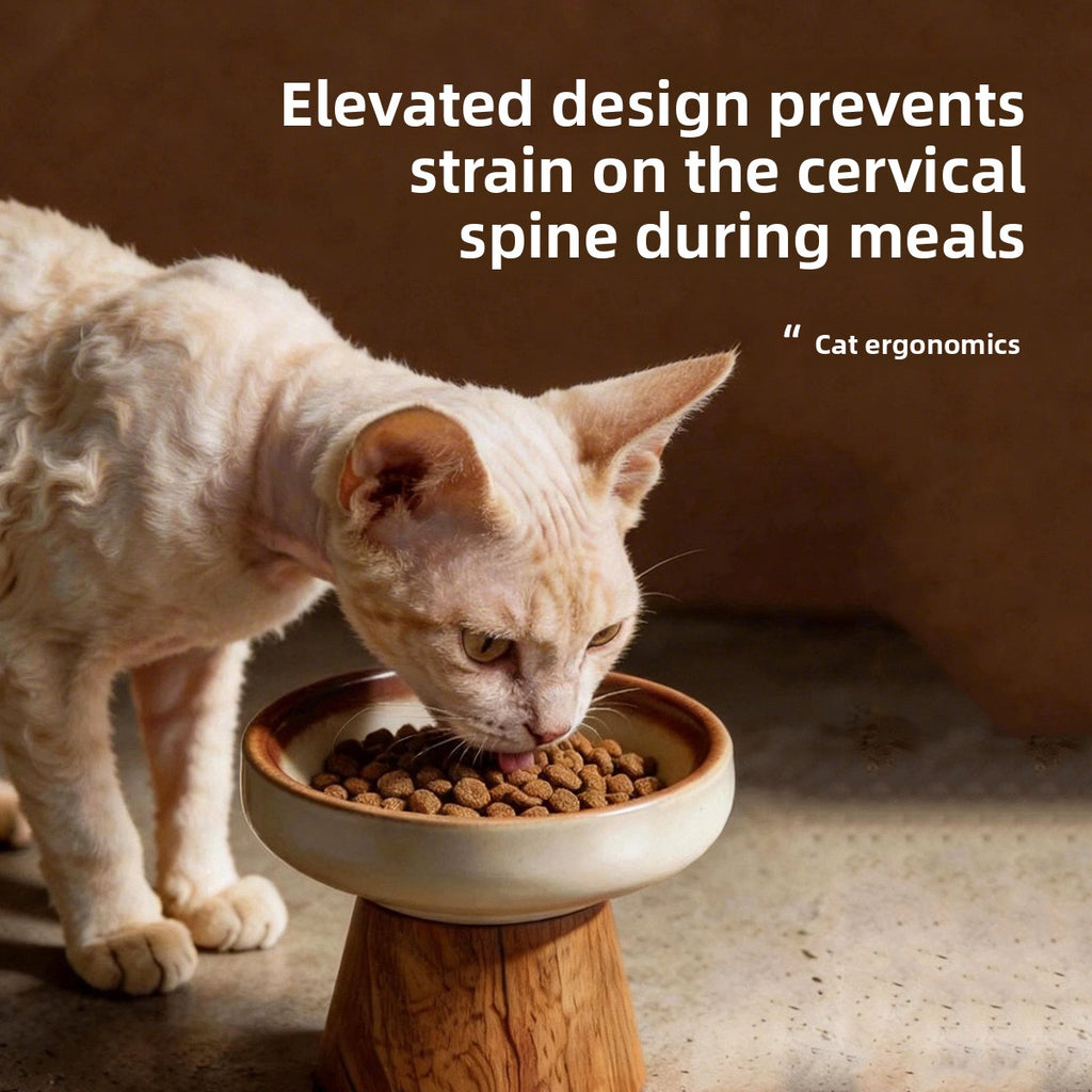 Elevated Ceramic Pet Feeding Bowl with Wooden Stand