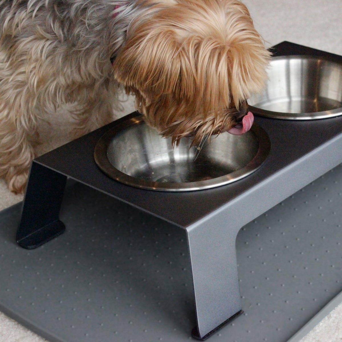 Elevate Your Pet's Dining Experience with Our Premium Anodized Aluminum Feeder - Stylish Metallic Gray Dog and Cat Bowls