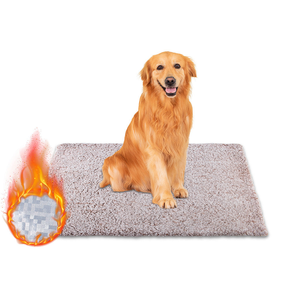 Dog sitting on a gray mat with a flame icon on a white background