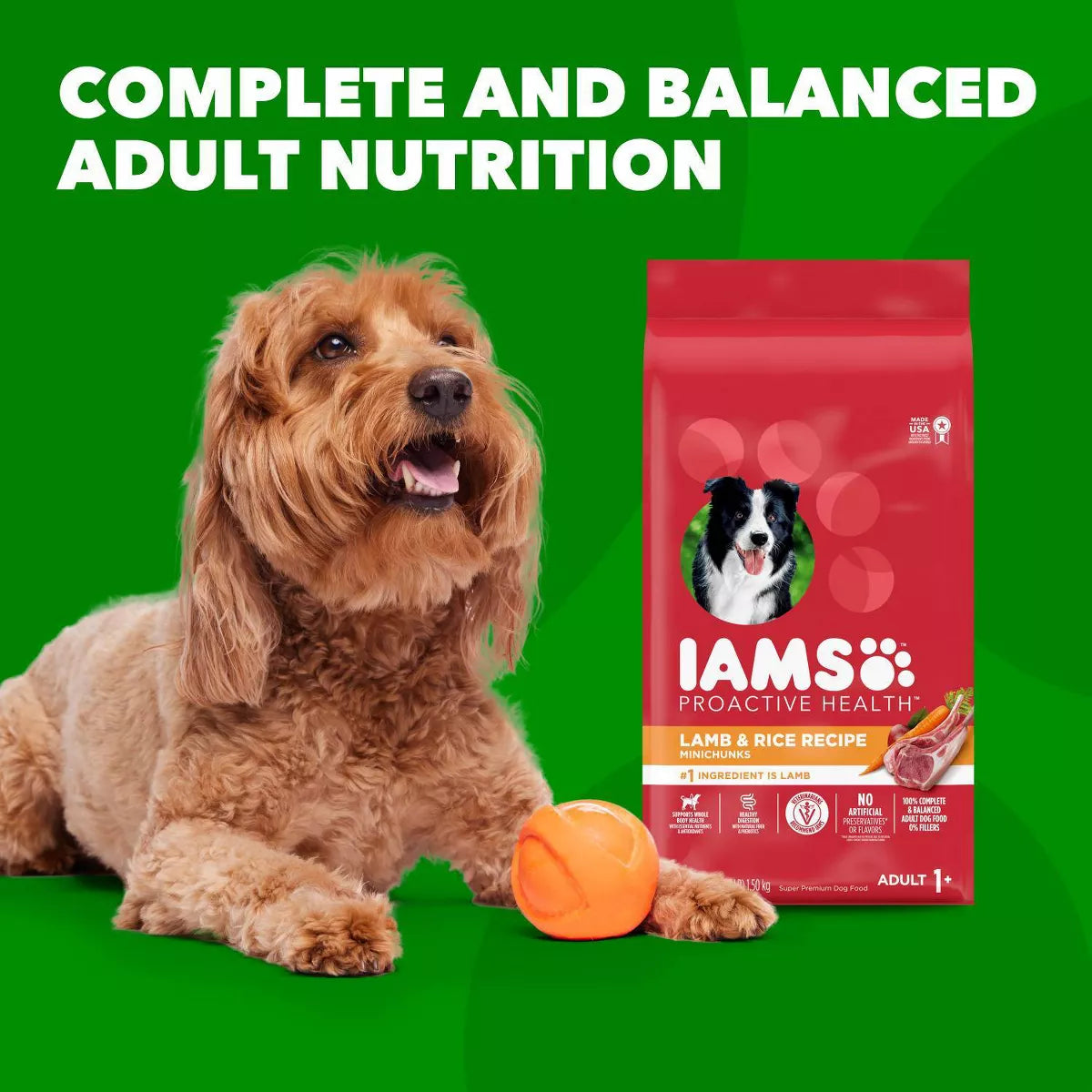 IAMS Proactive Health Minichunks Dry Dog Food with Lamb and Rice - Premium Nutrition for Happy, Healthy Dogs