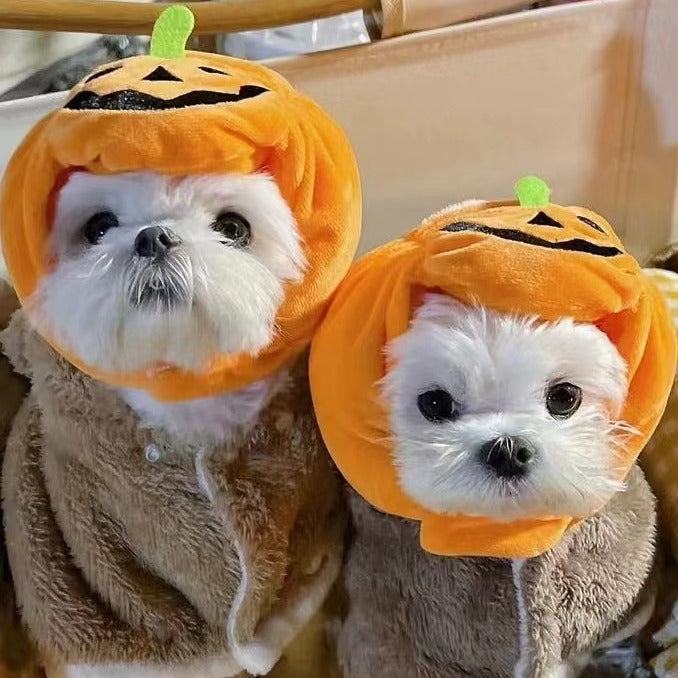 Pet Pumpkin Hat Halloween Costume