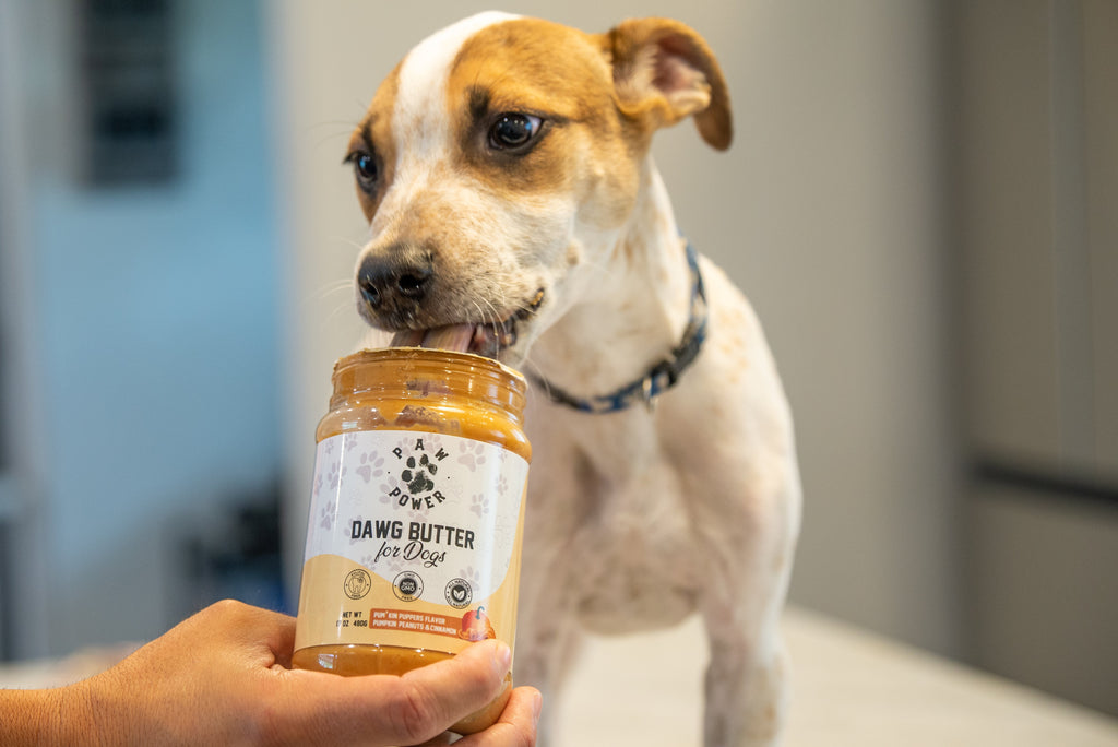 Dawg Butter Pum'kin Puppers Peanut Butter Dog Treat