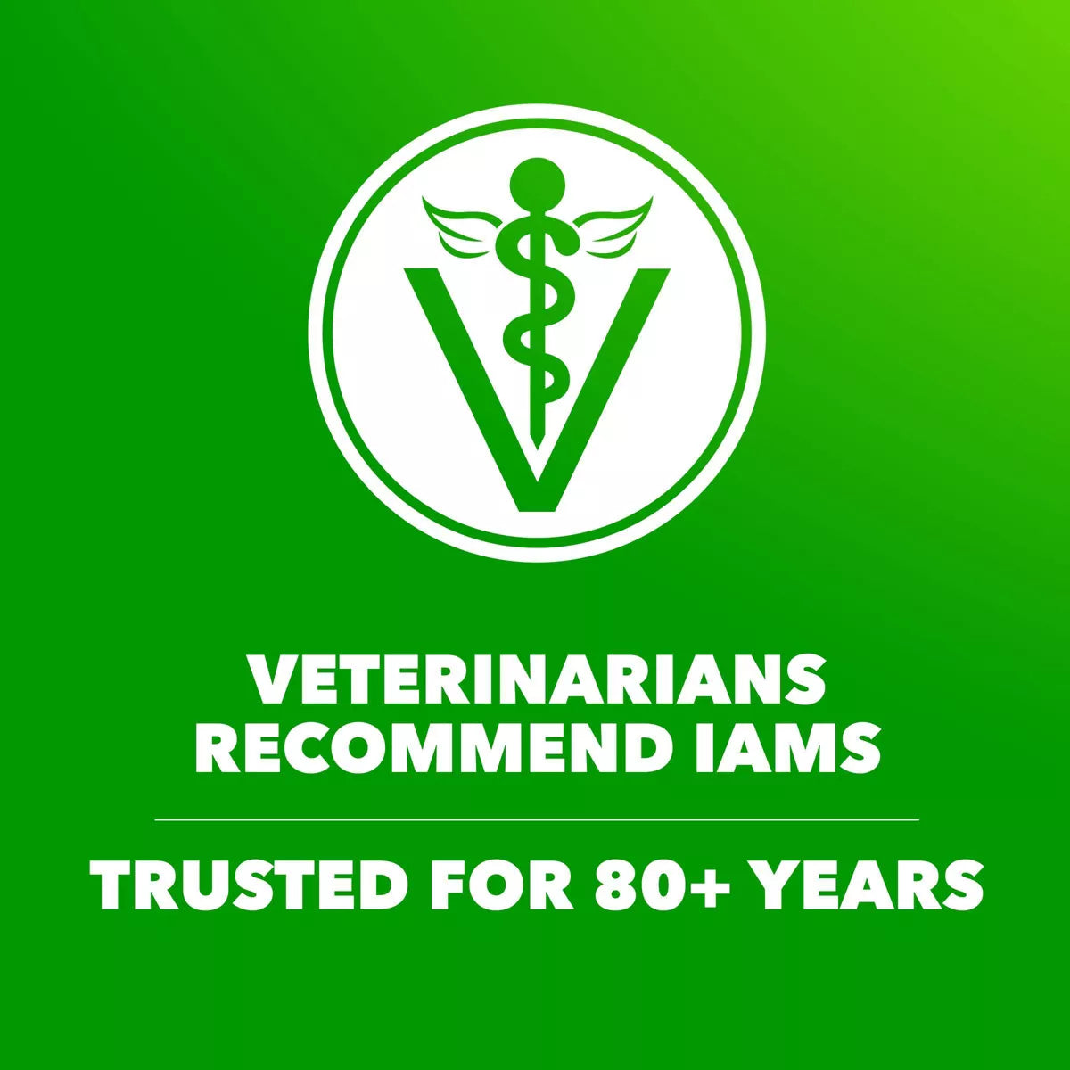Nourish Your Active Dog with IAMS Proactive Health Chicken & Whole Grain Minichunks Dry Dog Food - 7 LB