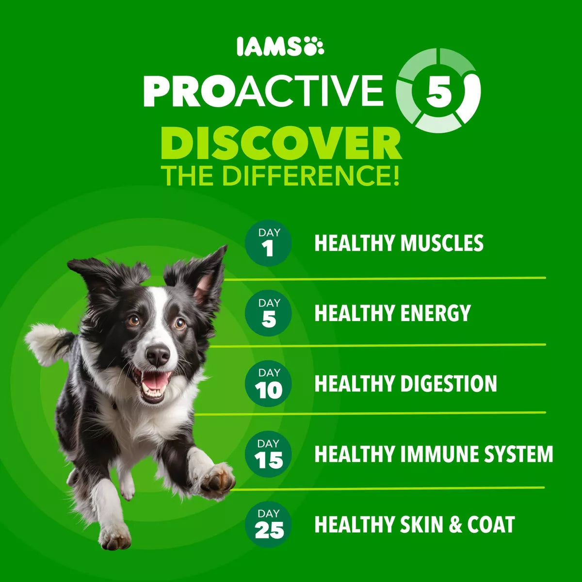 Nourish Your Active Dog with IAMS Proactive Health Chicken & Whole Grain Minichunks Dry Dog Food - 7 LB