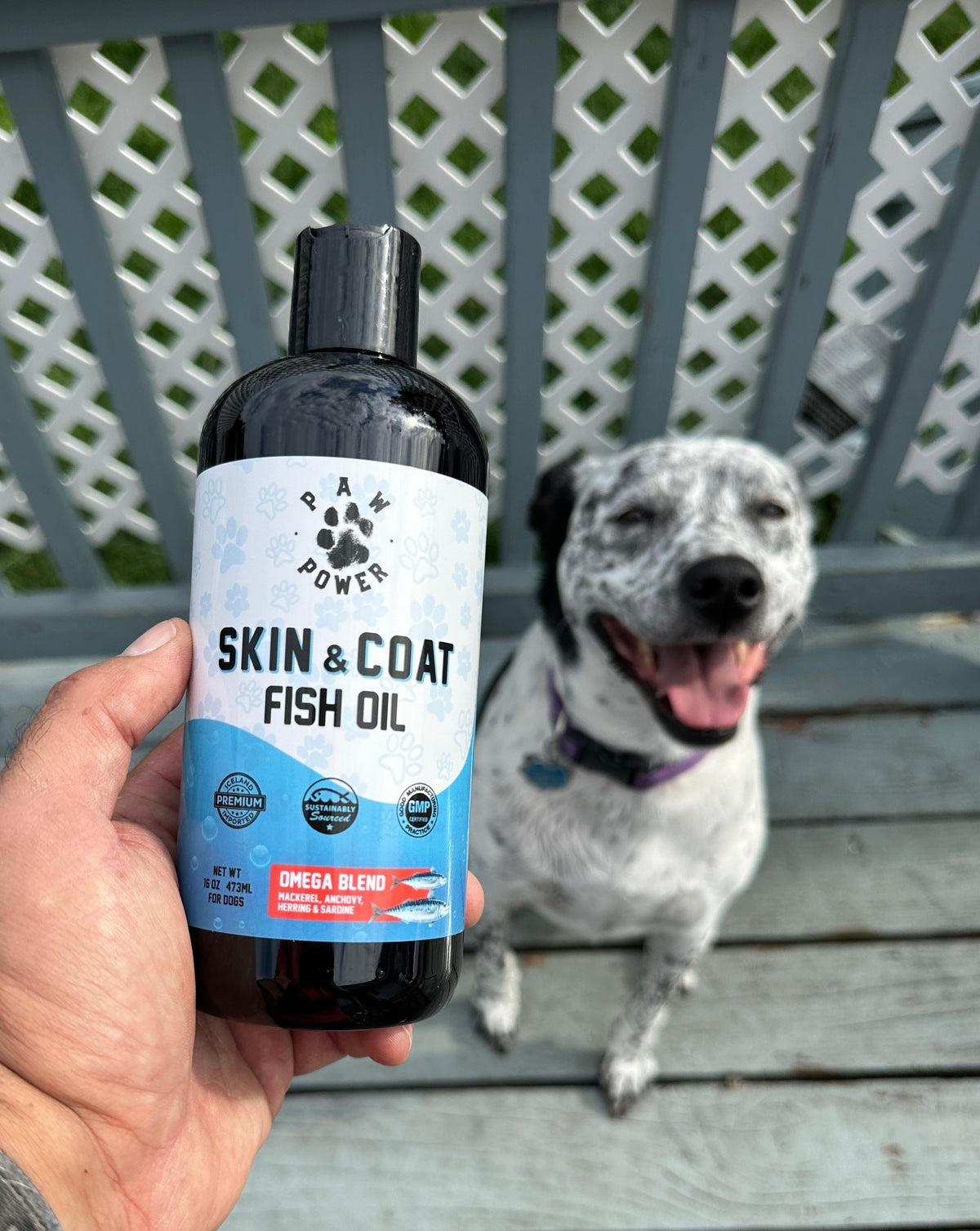 Dawg Health Skin & Coat Omega-3 Fish Oil for Dogs