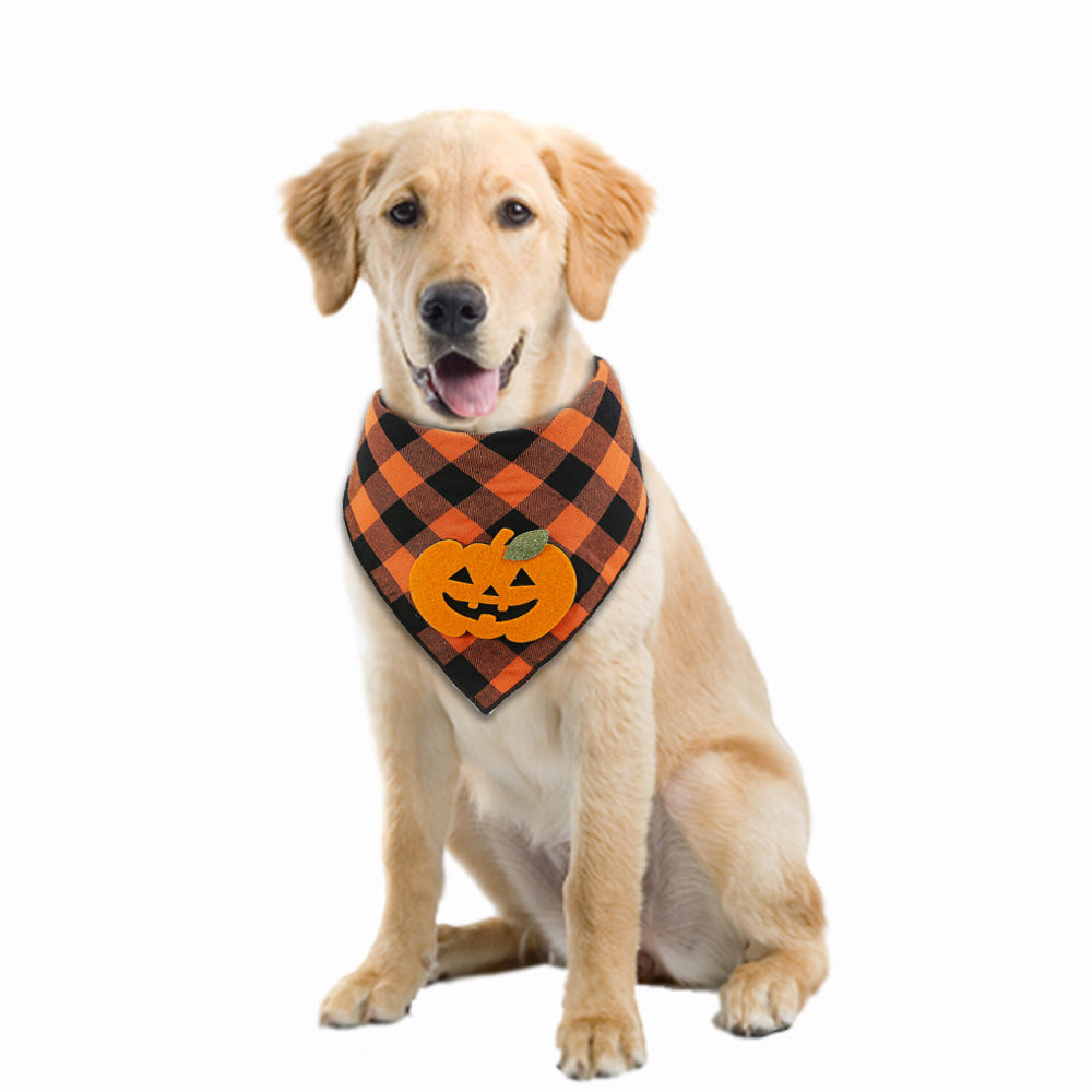 Dog wearing a Halloween-themed checkered bandana with a pumpkin design on a white background
