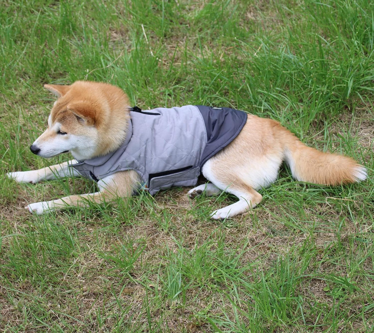 Cozy Reversible Dog Coat for Small Breeds with Dual Leash Openings - Perfect for Winter Adventures