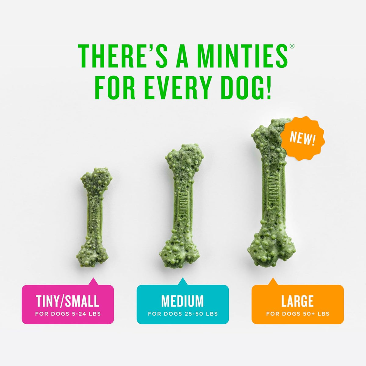 Delicious Mint Dental Chews for Large Dogs - 20 Count for Fresh Breath and Healthy Teeth