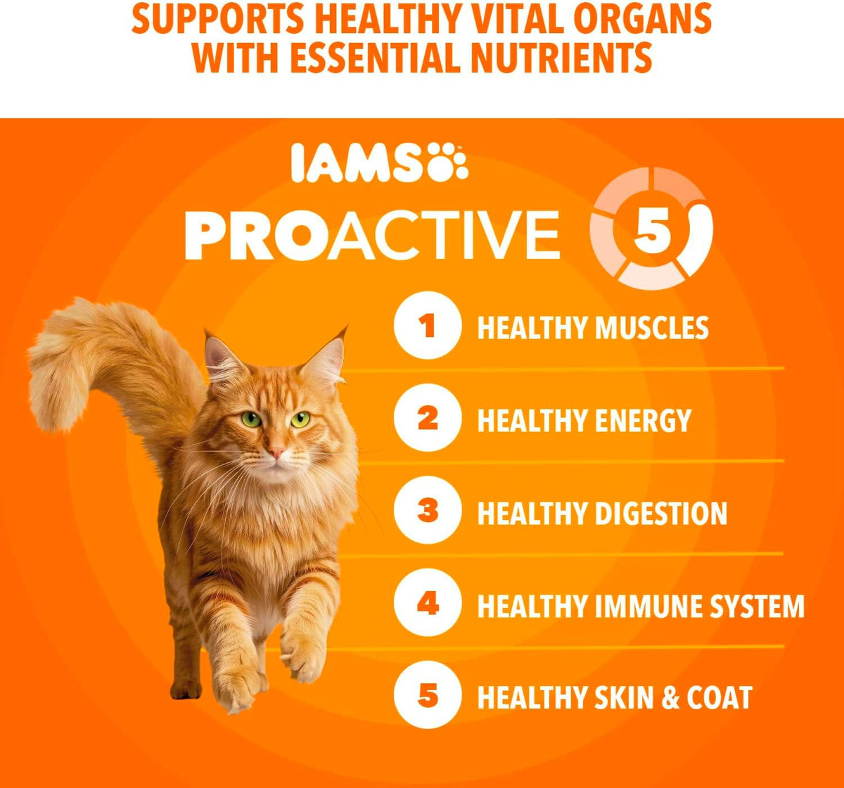 IAMS Proactive Health Chicken Dry Cat Food - 7 lb Bag for Happy, Healthy Adult Cats
