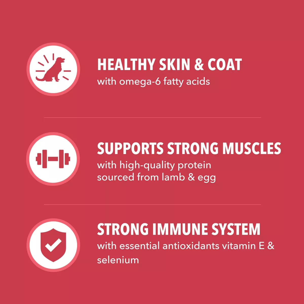 IAMS Proactive Health Minichunks Dry Dog Food with Lamb and Rice - Premium Nutrition for Happy, Healthy Dogs