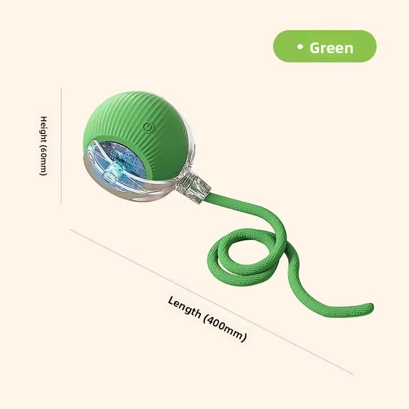 Interactive Motion Ball for Dogs & Cats