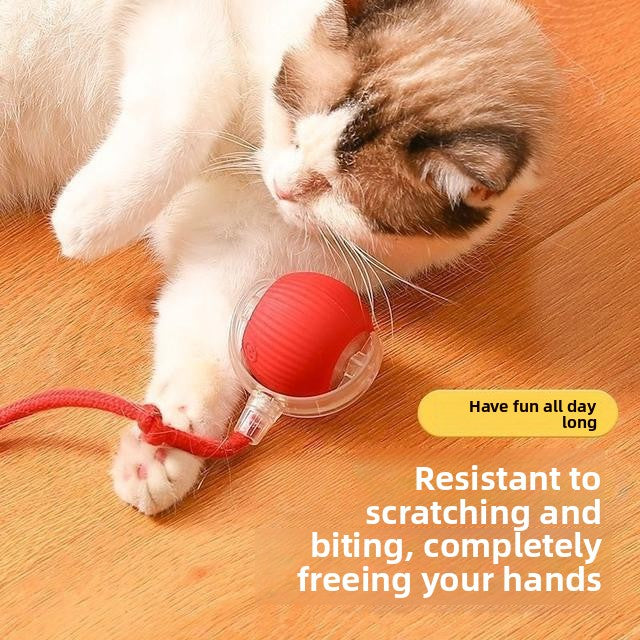 Interactive Motion Ball for Dogs & Cats