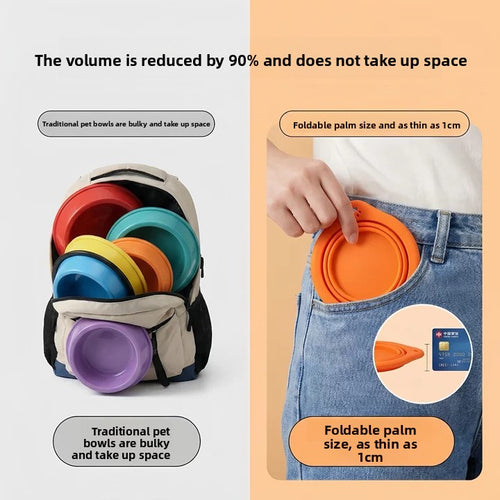 Foldable Silicone Travel Bowl for Dogs & Cats