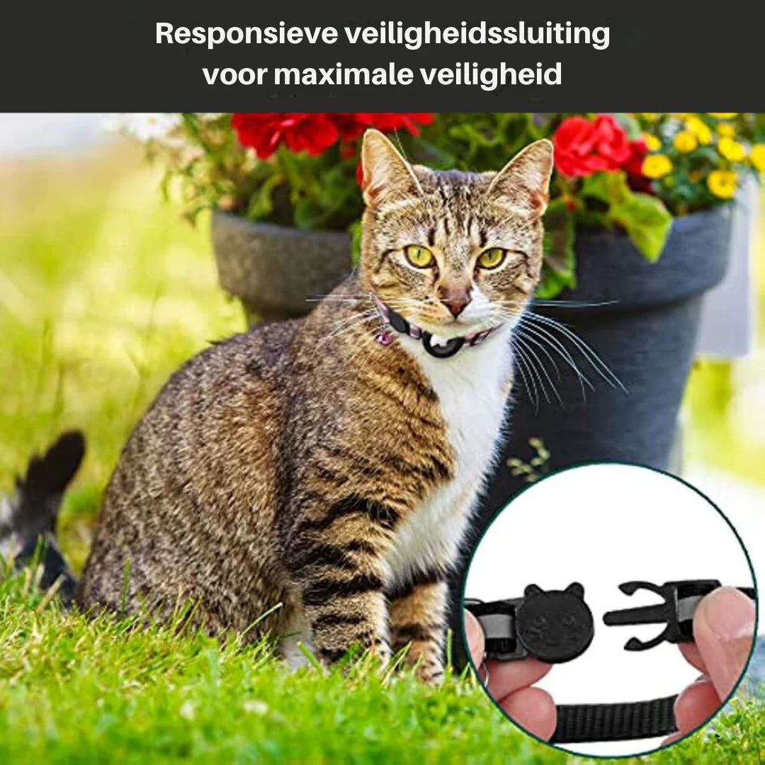Ensure Your Cat's Safety with Our GPS Tracking Collar - Quick-Release Fastener & Reflective Design for Nighttime Visibility
