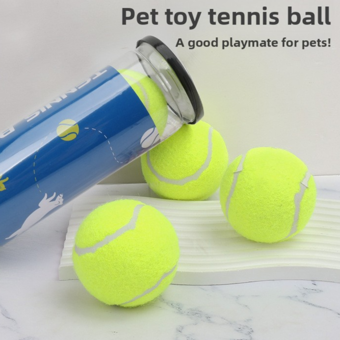 Rubber Dog Play Ball & 3-Pack Options
