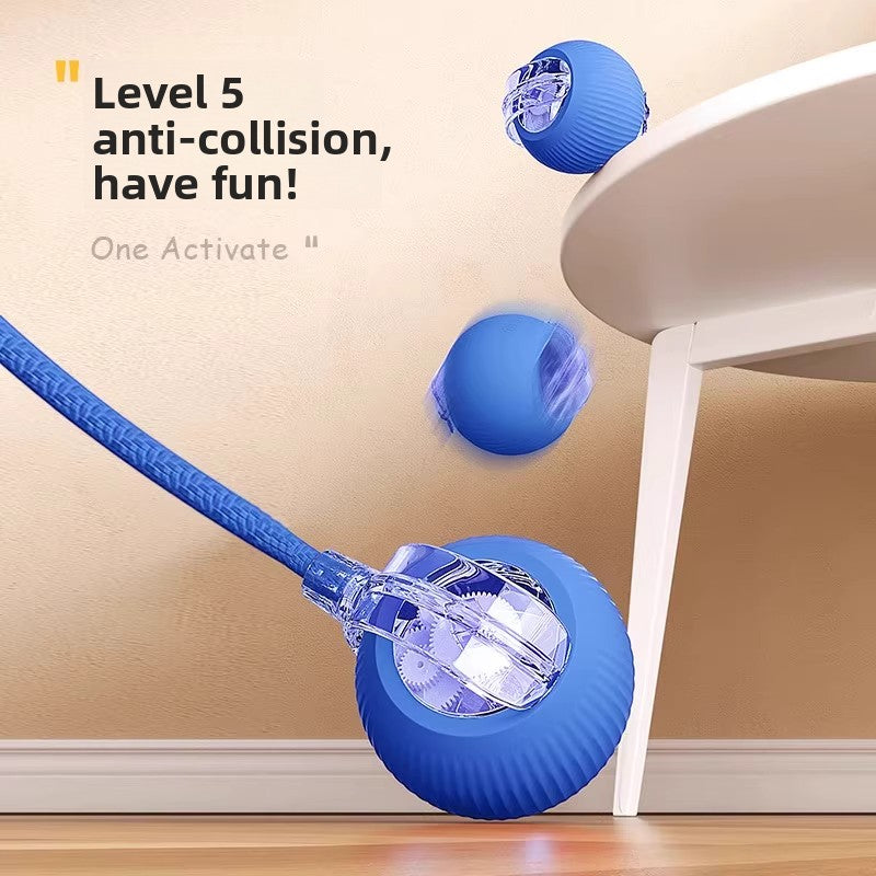 Interactive Motion Ball for Dogs & Cats