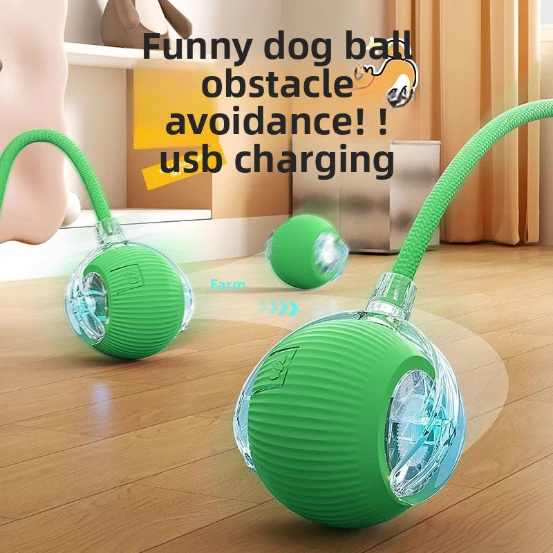 Interactive Motion Ball for Dogs & Cats