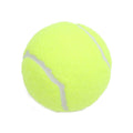 Rubber Dog Play Ball & 3-Pack Options